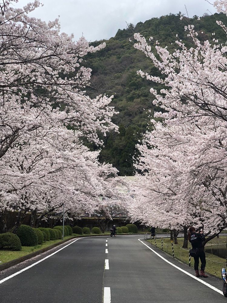 nicanさんが投稿した下北山スポーツ公園キャンプ場に関する口コミの画像