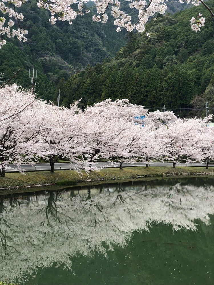nicanさんが投稿した下北山スポーツ公園キャンプ場に関する口コミの画像