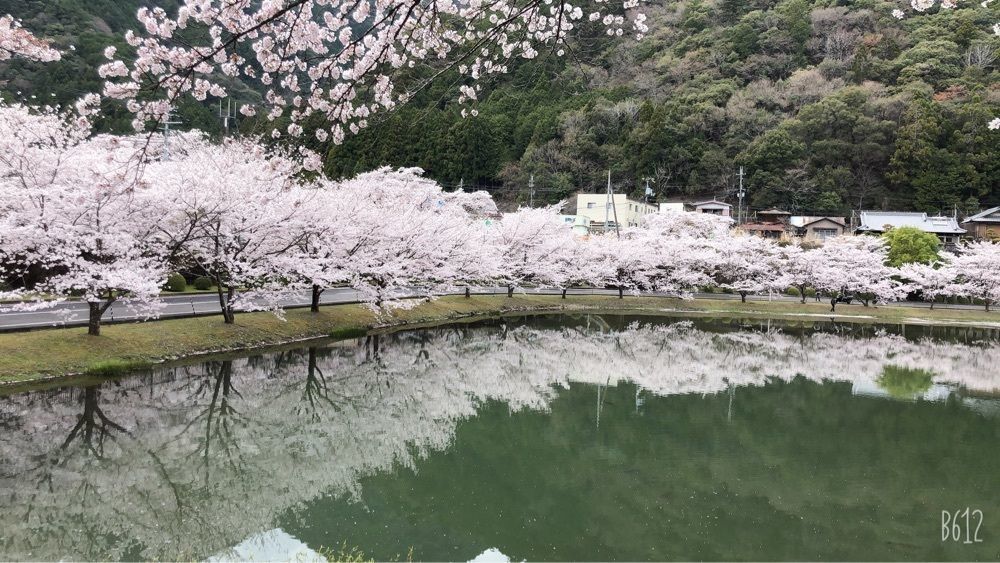 nicanさんが投稿した下北山スポーツ公園キャンプ場に関する口コミの画像