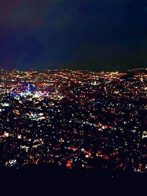リリーの画像