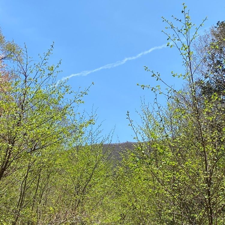 さんぴん茶さんが投稿した深山ダムに関する口コミの画像