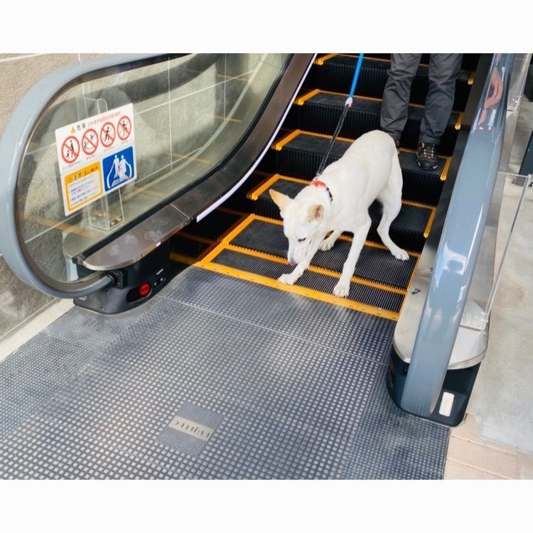 wonderful_street_830dさんが投稿したタリーズコーヒー 御殿場プレミアム・アウトレットイースト店（TULLY'S COFFEE）に関する口コミの画像