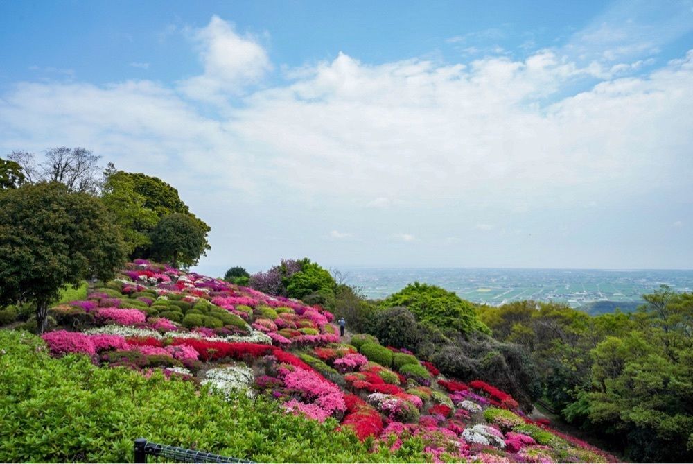 mt0130さんが投稿した歌垣公園に関する口コミの画像