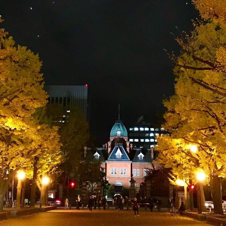 #わたしのおでかけ #イチョウ並木 #赤れんが庁舎 #北海道 #札幌市 #紅葉