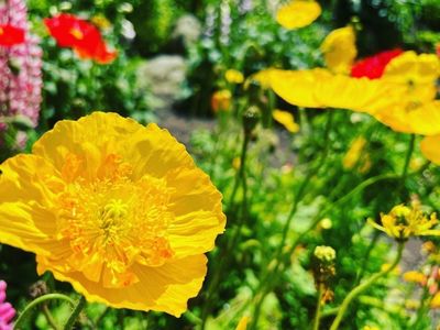 久留米市美術館 1枚目