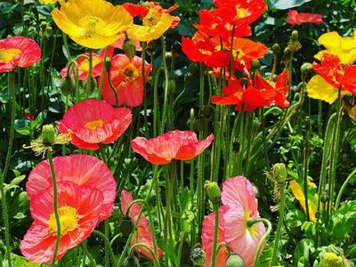 久留米市美術館 2枚目