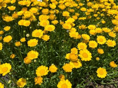 久留米市美術館 3枚目