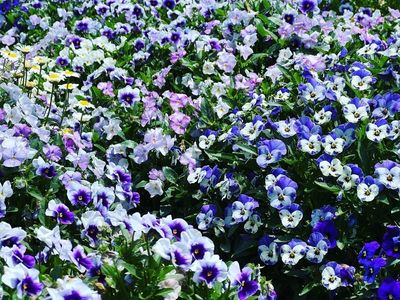 久留米市美術館 4枚目