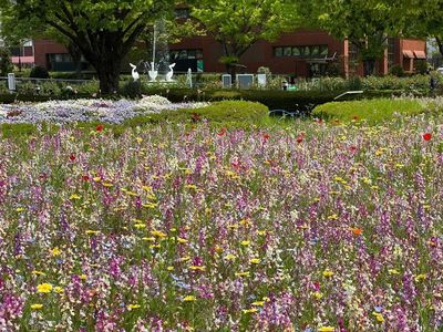 久留米市美術館 5枚目