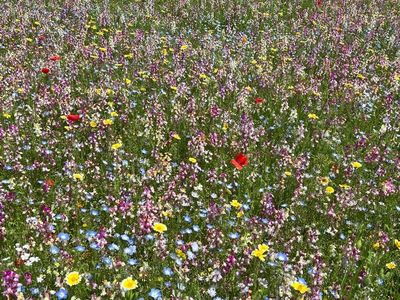 久留米市美術館 6枚目