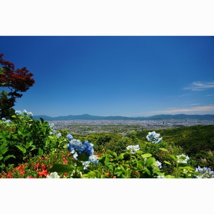 m_keijiさんが投稿した画像の画像