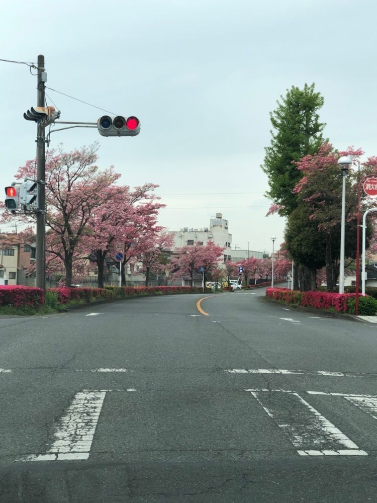 からっ風②さんが投稿したきんぐ食品 桐生本町店に関する口コミの画像