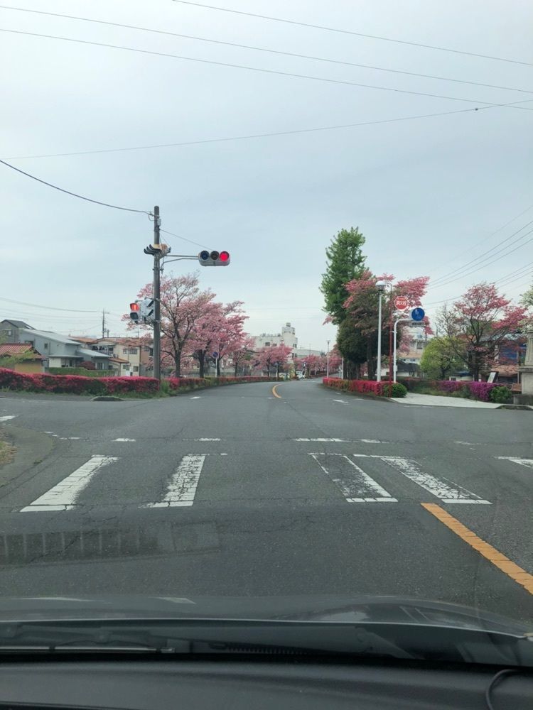 からっ風②さんが投稿したきんぐ食品 桐生本町店に関する口コミの画像