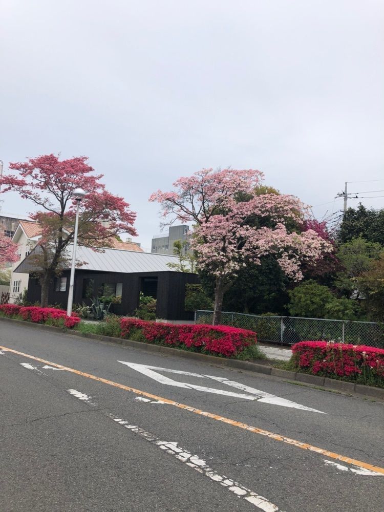 からっ風②さんが投稿したきんぐ食品 桐生本町店に関する口コミの画像
