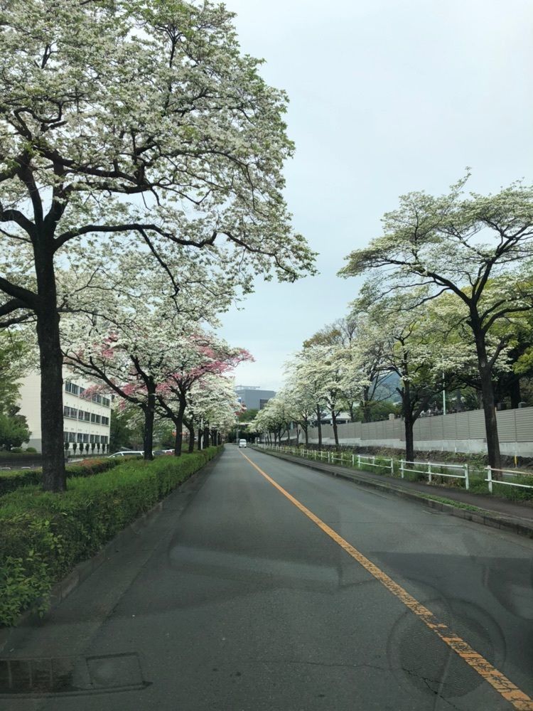 からっ風②さんが投稿したきんぐ食品 桐生本町店に関する口コミの画像