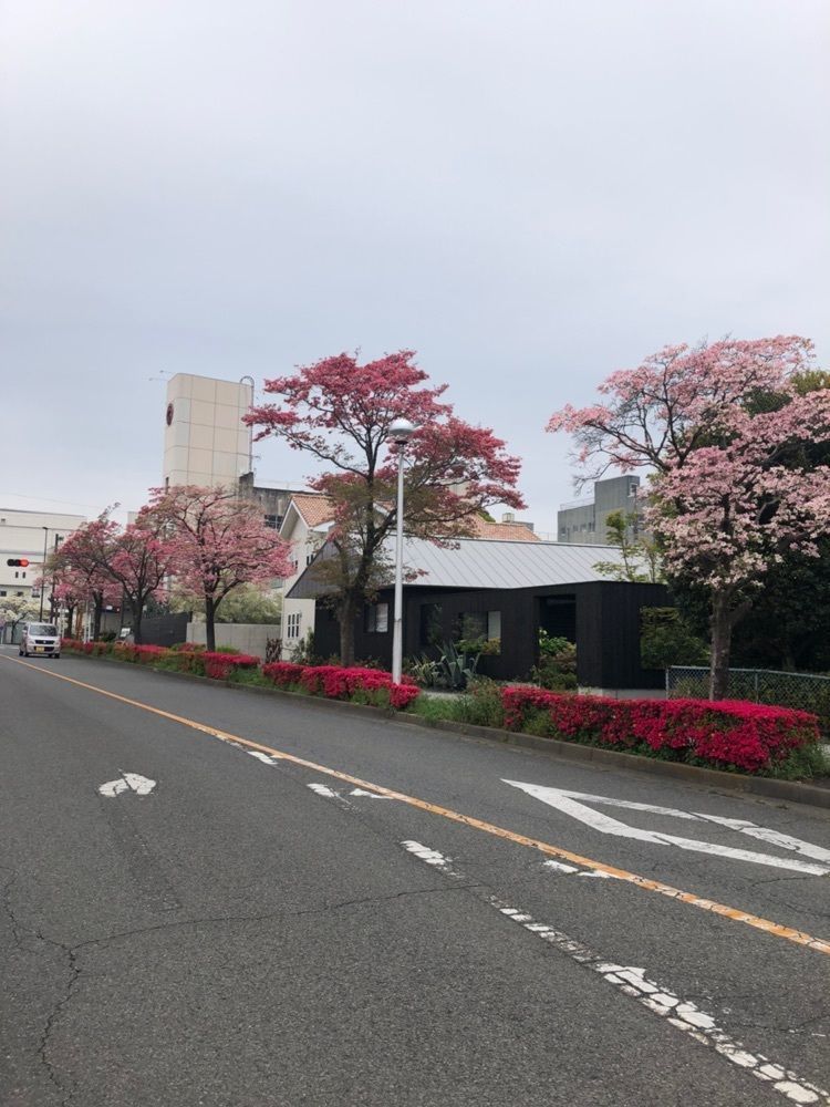 からっ風②さんが投稿したきんぐ食品 桐生本町店に関する口コミの画像