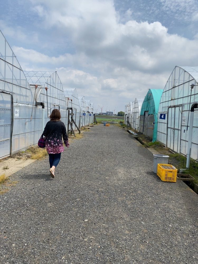 mariさんが投稿した農業法人 大地 下妻農場に関する口コミの画像