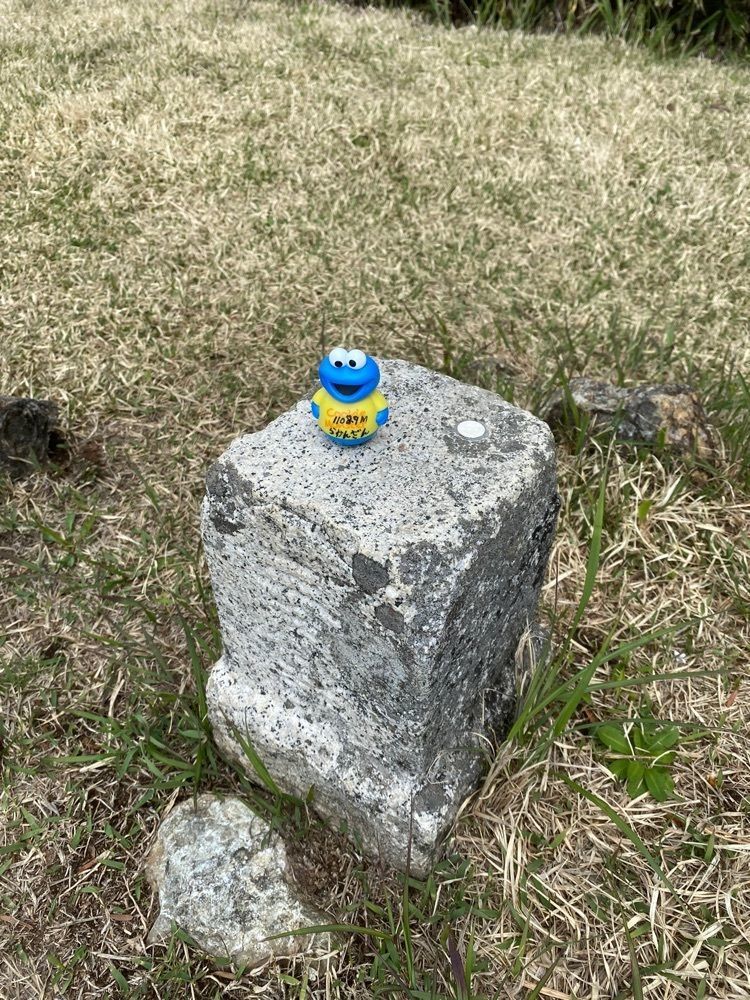 あるふぃすたさんが投稿した羅漢山（山口県岩国市）に関する口コミの画像