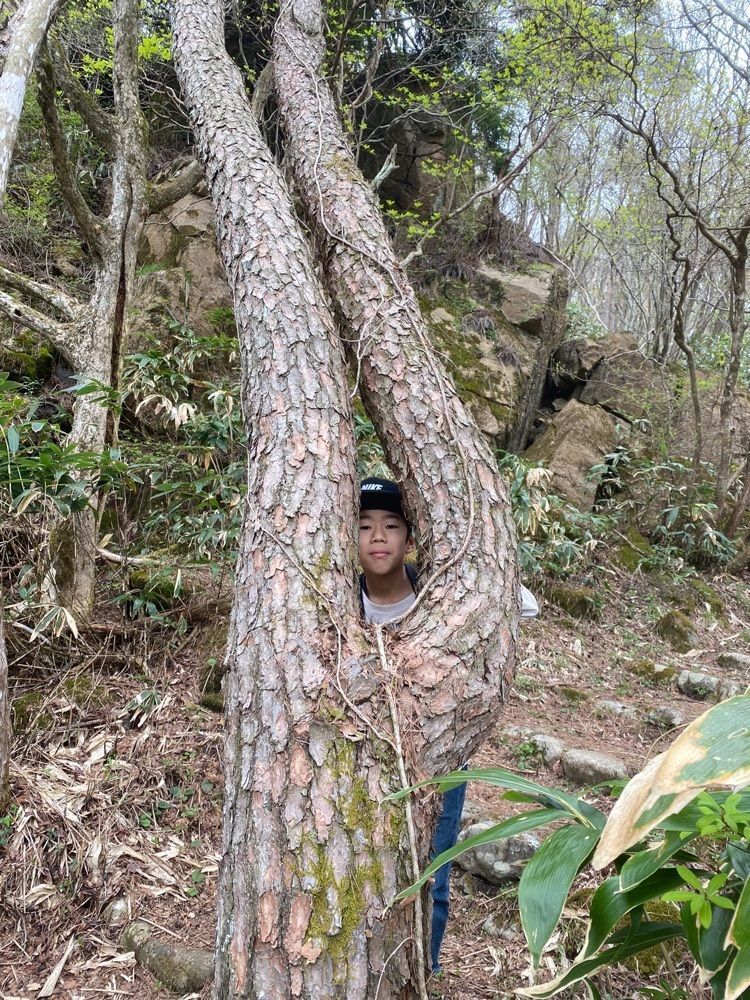 あるふぃすたさんが投稿した羅漢山（山口県岩国市）に関する口コミの画像