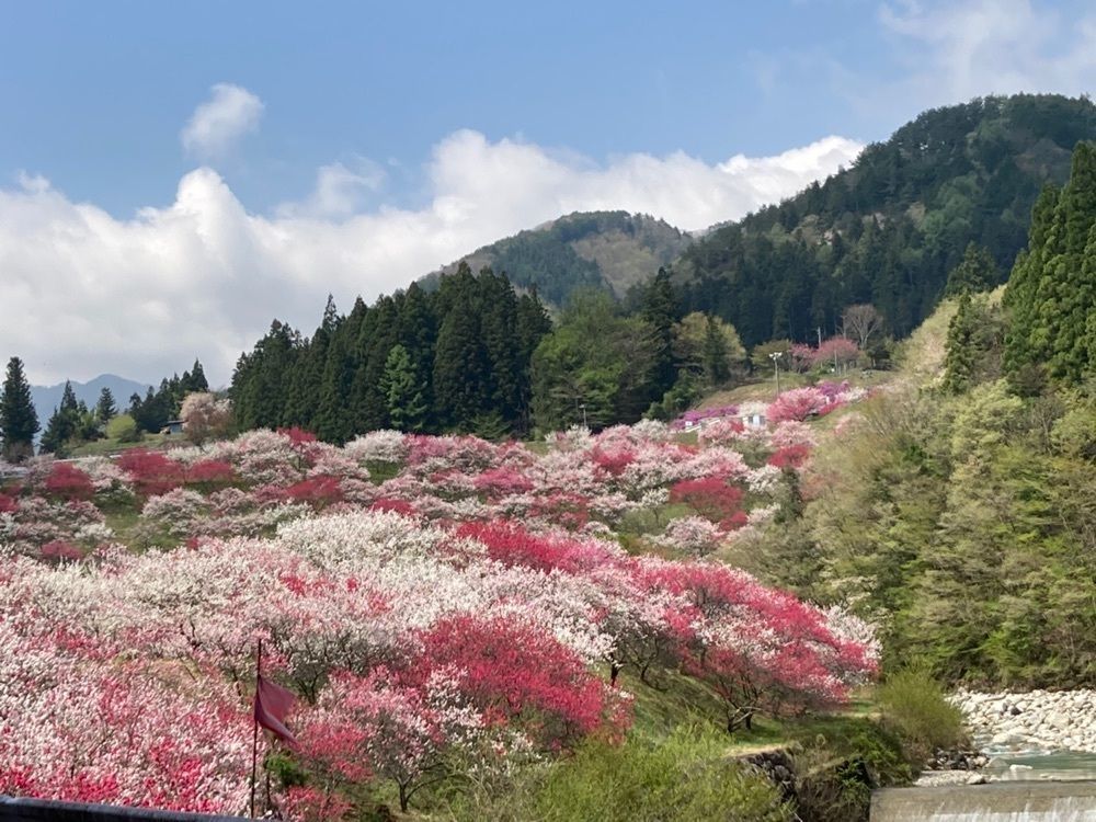 Howl Monさんが投稿した野熊の庄月川に関する口コミの画像