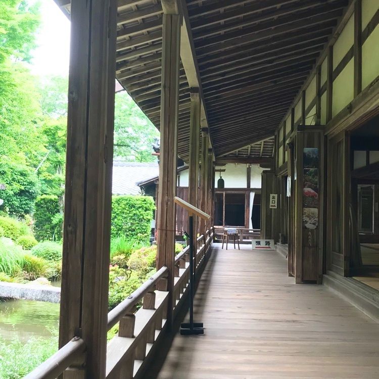 NBR OTさんが投稿した滋賀院門跡庭園に関する口コミの画像