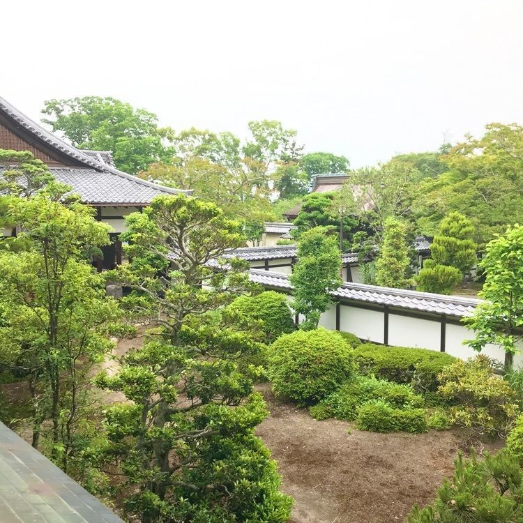 NBR OTさんが投稿した滋賀院門跡庭園に関する口コミの画像