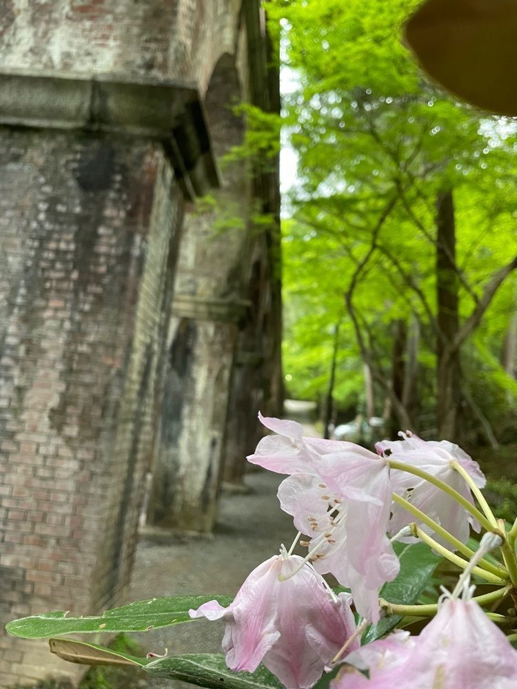 ぷにさんが投稿した南禅寺に関する口コミの画像