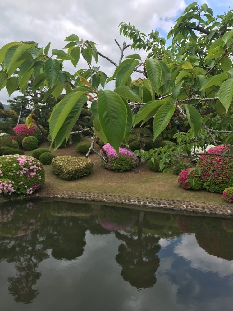 りょう.Ｋさんが投稿した小城公園に関する口コミの画像