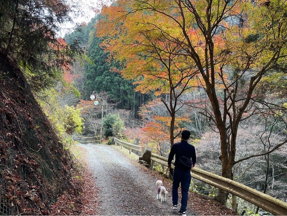 Qsaさんが投稿した江竜田の滝に関する口コミの画像