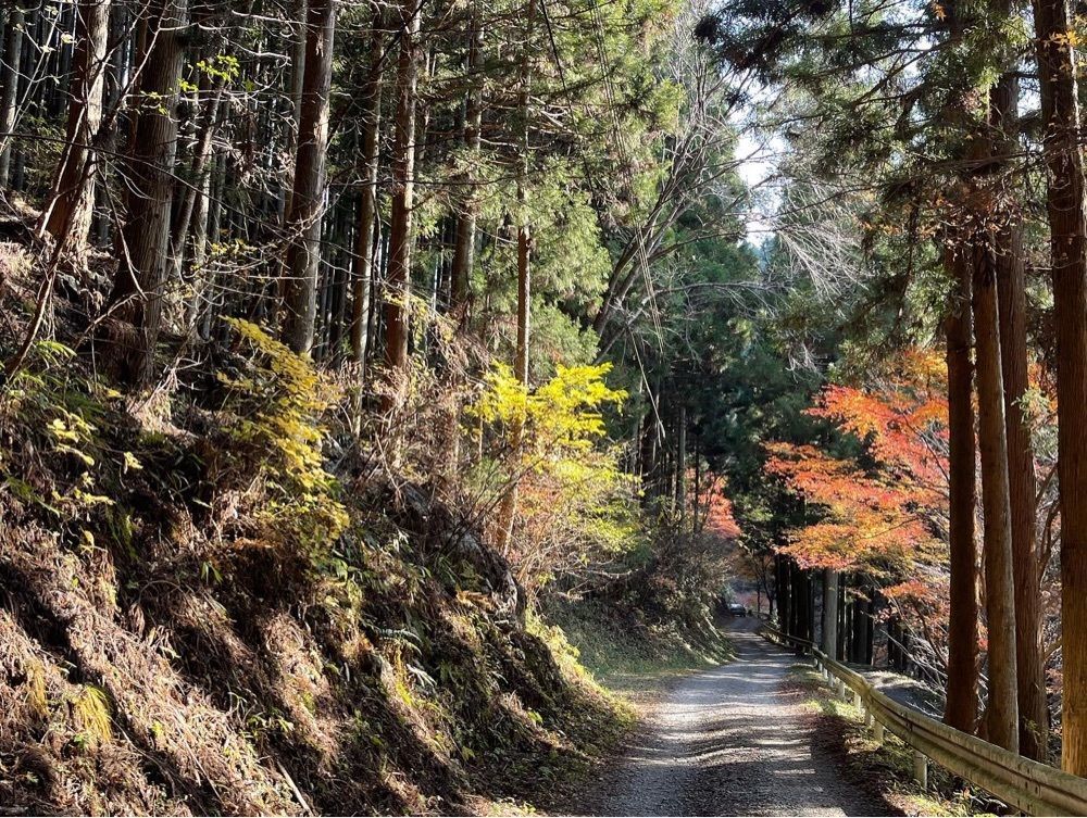 Qsaさんが投稿した江竜田の滝に関する口コミの画像