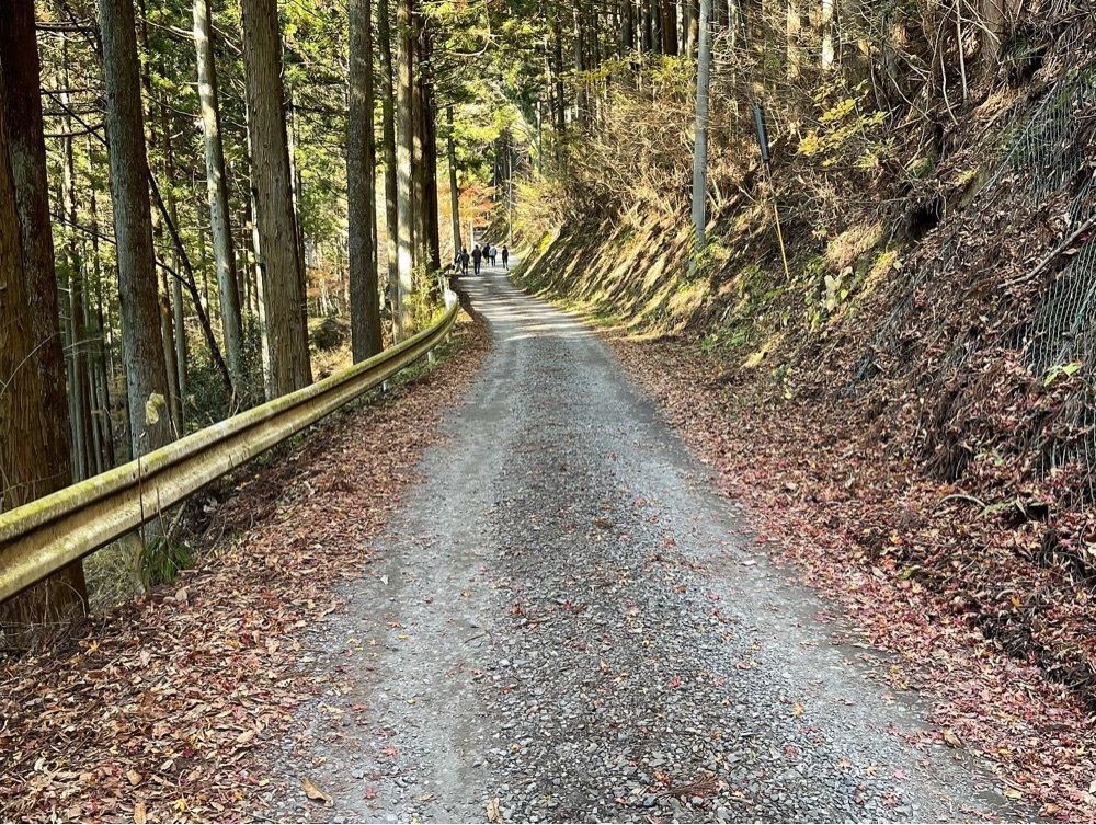 Qsaさんが投稿した江竜田の滝に関する口コミの画像