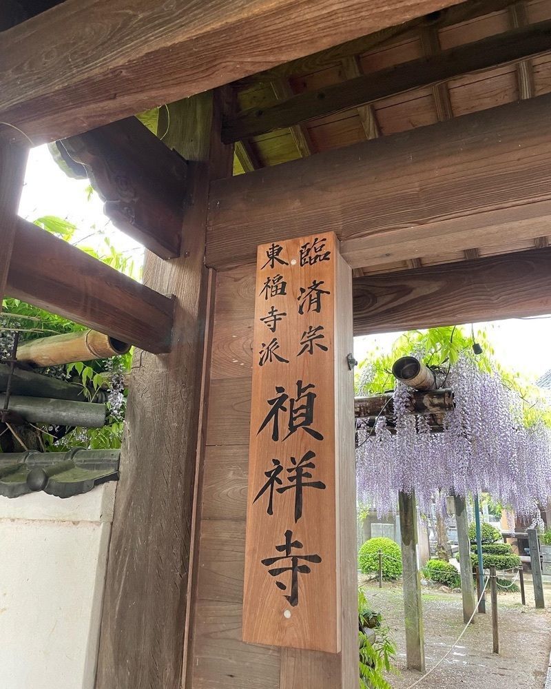cool_culture_9717さんが投稿した観音堂（禎祥寺）の藤に関する口コミの画像