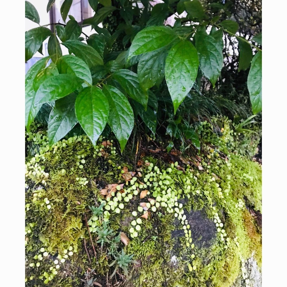 ＫMＴKさんが投稿した雲取温泉に関する口コミの画像