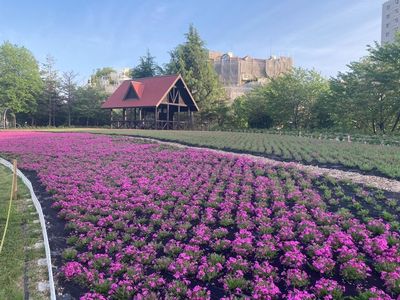 ミササガパーク 3枚目