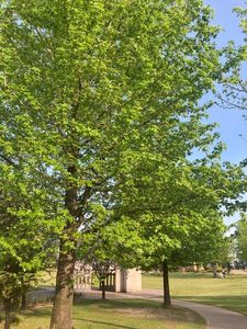 ミササガパーク 4枚目