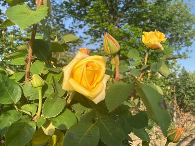 ミササガパーク 5枚目