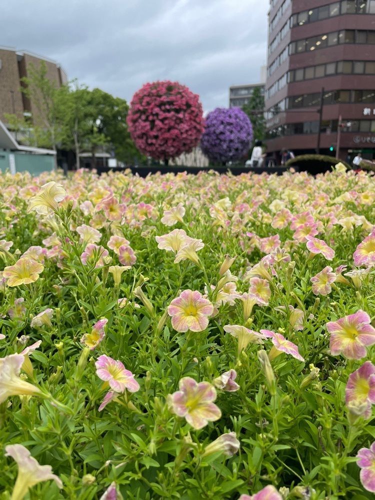 luckyさんが投稿した桜町トントン（サクラマチTONGTONG）に関する口コミの画像