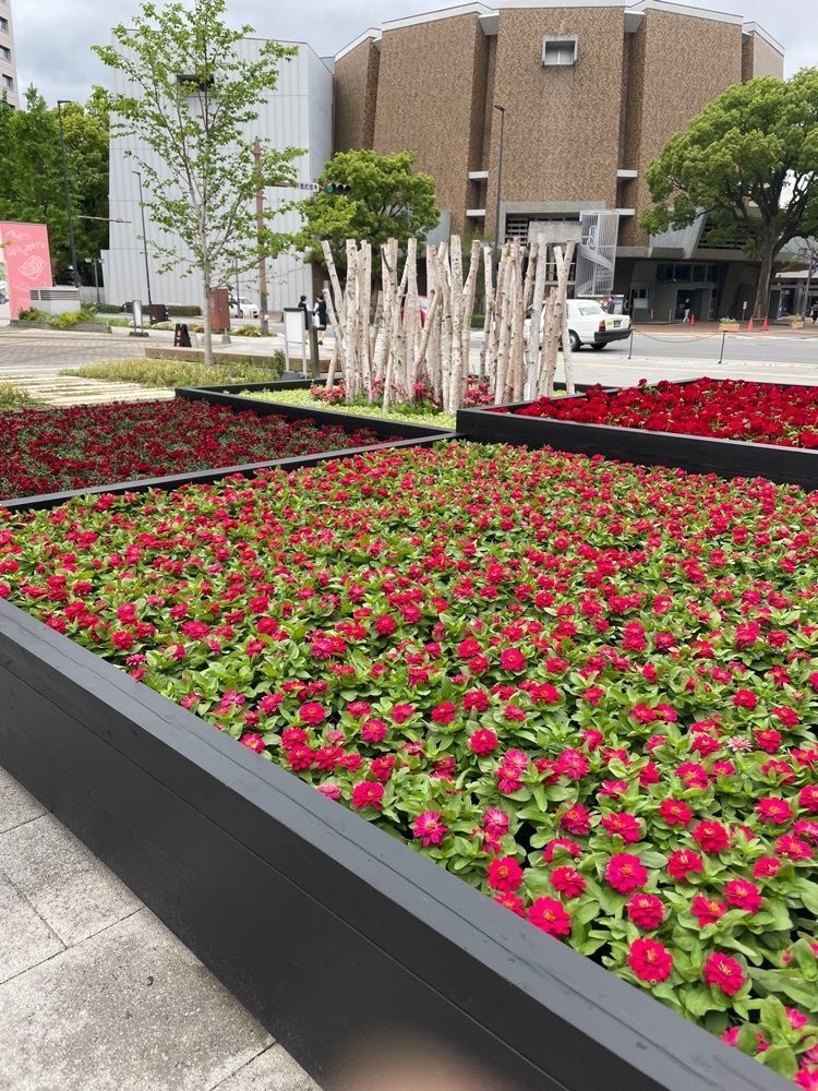 luckyさんが投稿した桜町トントン（サクラマチTONGTONG）に関する口コミの画像