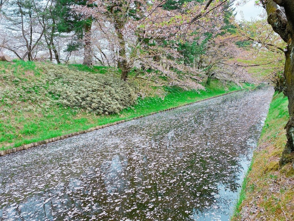 鉄道こまちさんが投稿したローソン 弘前公園前店に関する口コミの画像