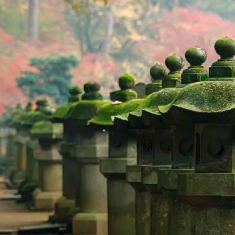 DJゴン太の画像