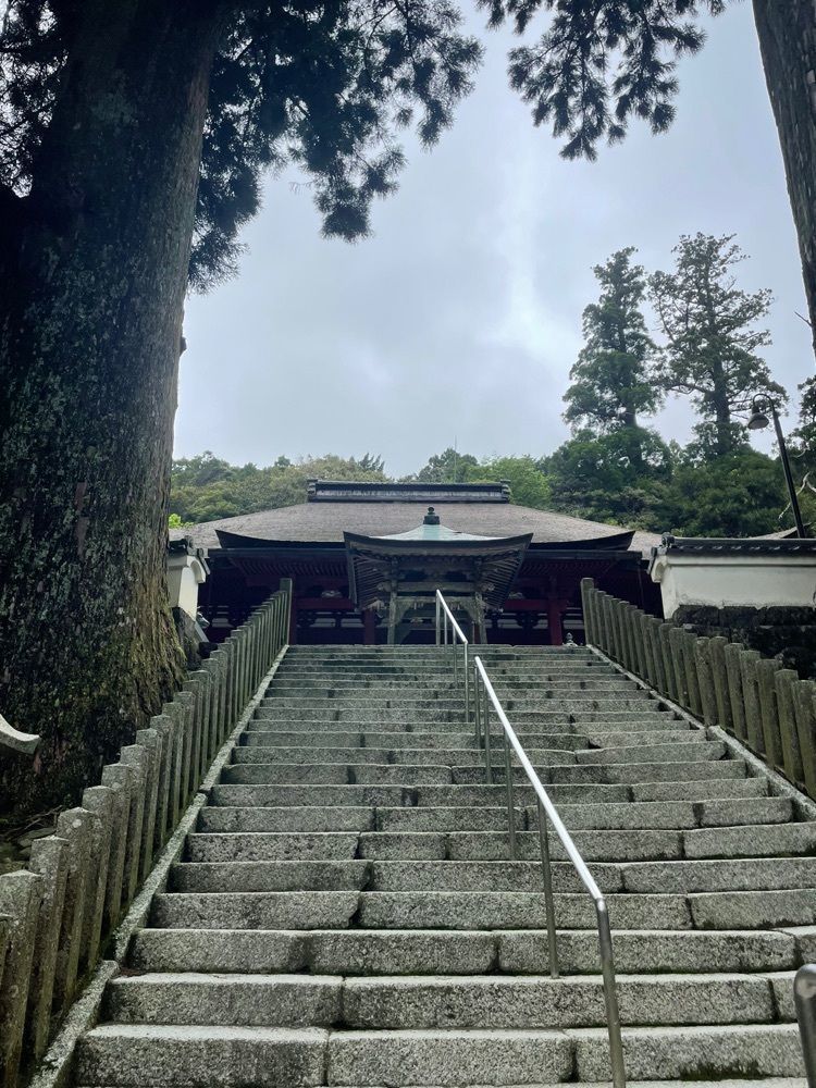 ちゃん太郎さんが投稿した金剛證寺のモクレンに関する口コミの画像