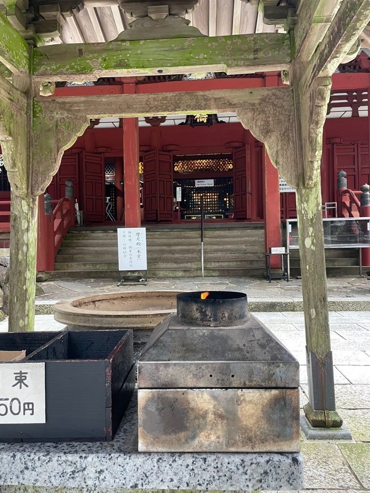 ちゃん太郎さんが投稿した金剛證寺のモクレンに関する口コミの画像