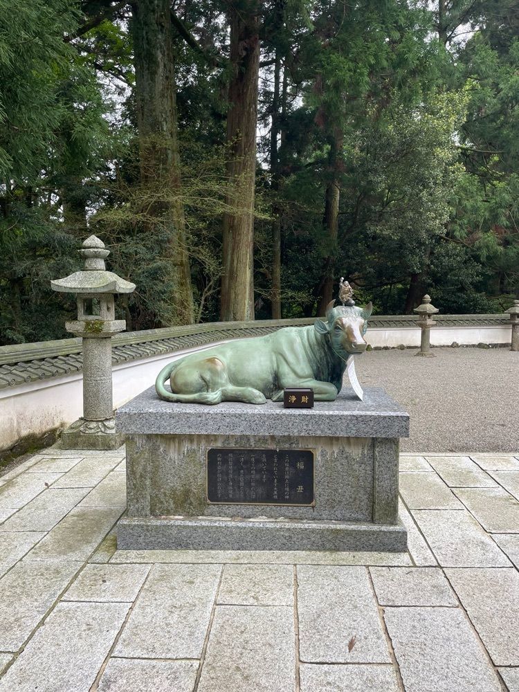 ちゃん太郎さんが投稿した金剛證寺のモクレンに関する口コミの画像