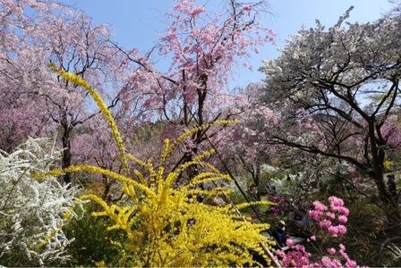 施設画像
