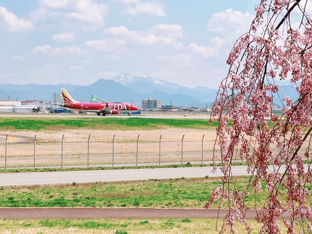 猫なぎ。さんが投稿した山形空港総合案内所に関する口コミの画像