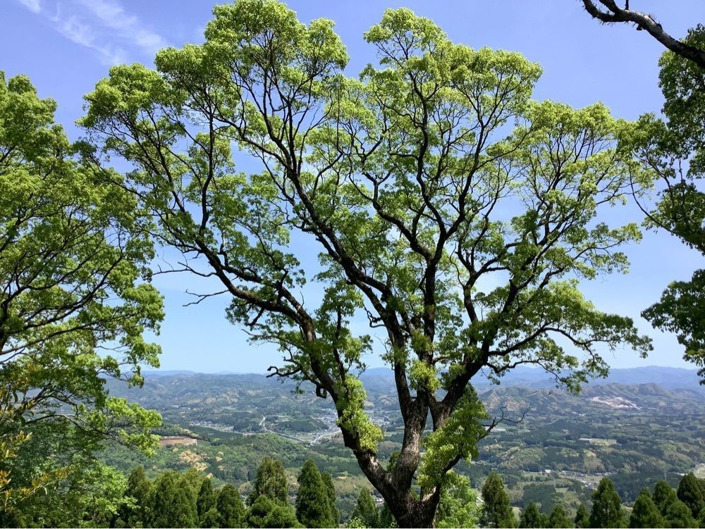 festive_garden_7486さんが投稿した三池山に関する口コミの画像