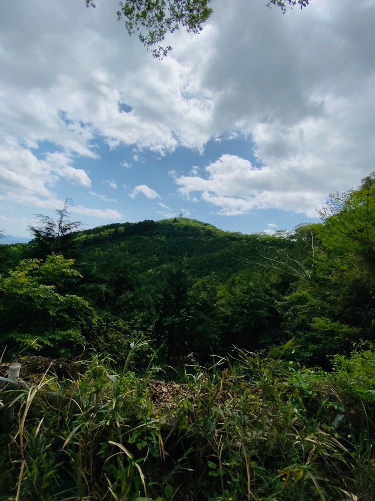 mariさんが投稿した小町の館に関する口コミの画像
