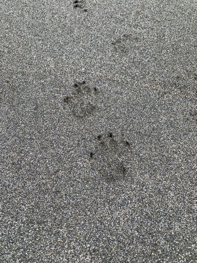 uzuraさんが投稿した波当津海水浴場に関する口コミの画像