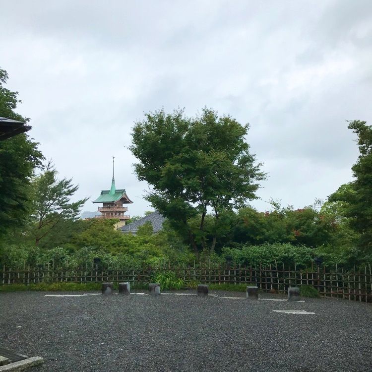 NBR OTさんが投稿した高台寺「掌美術館」に関する口コミの画像