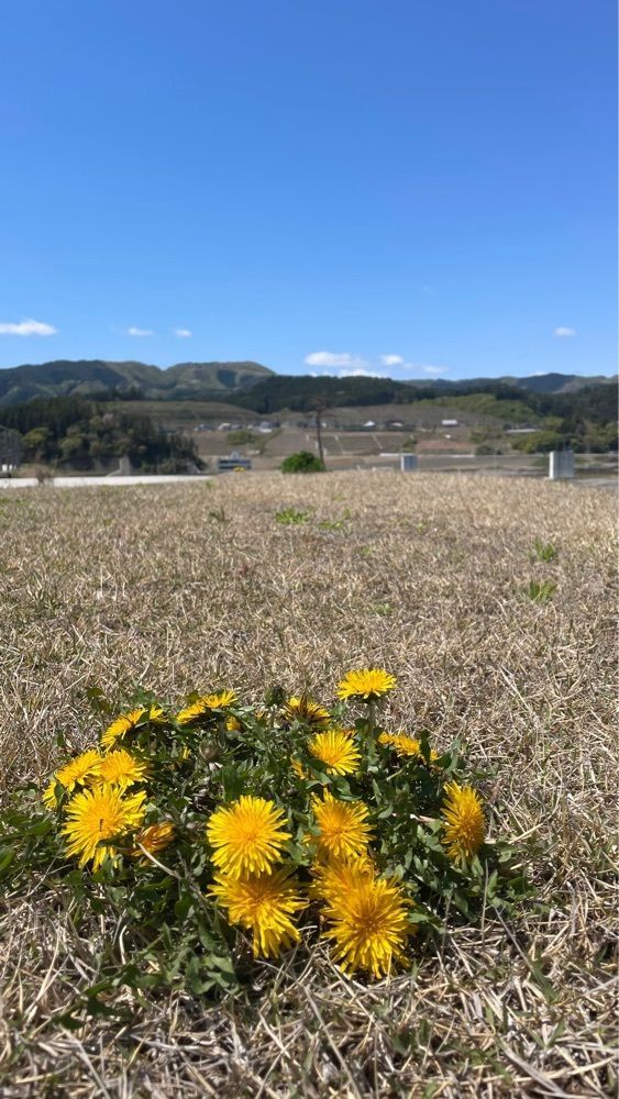 naokeさんが投稿した道の駅 高田松原に関する口コミの画像